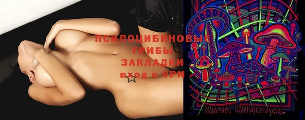 крисы Алексин
