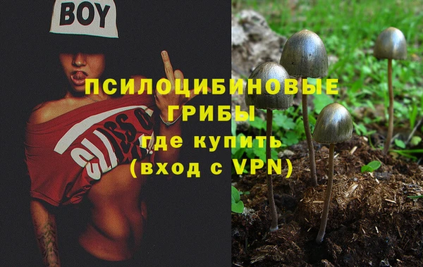 крисы Алексин