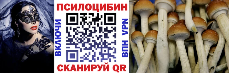 Псилоцибиновые грибы мицелий  где купить   Артёмовск 